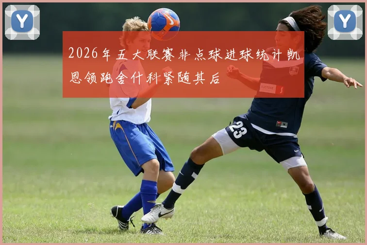 2026年五大联赛非点球进球统计凯恩领跑舍什科紧随其后